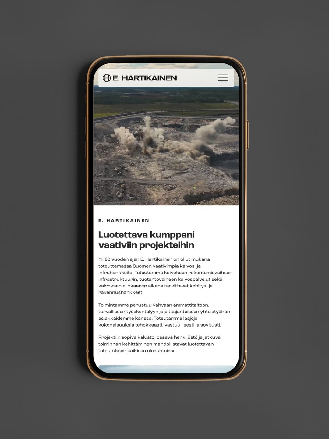 E. Hartikainen, nettisivu, Kajo Brandsin työnäyte.