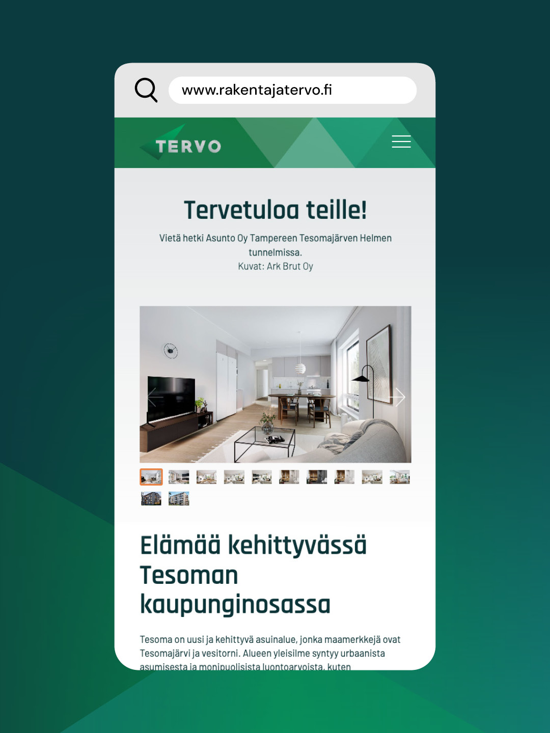 Tervo-konserni, nettisivu, Kajo Brandsin työnäyte.